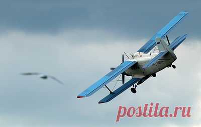 Пострадавших при посадке самолета Ан-2 на Чукотке доставили в Анадырь. Пилотов доставили в больницу