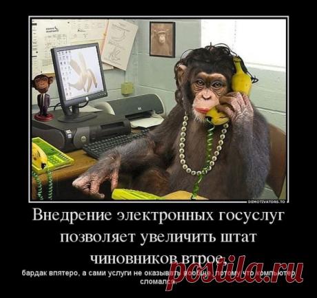Андрей Марьясов