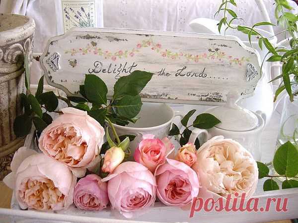 Мой Мир@Mail.Ru