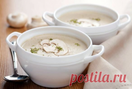 Грибной суп-пюре. Рецепты самых вкусных постных блюд (часть 10) | интересное рядом | Яндекс Дзен