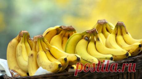 Эквадор предоставил документы для снятия ограничений на ввоз бананов в Россию. Власти Эквадора предоставили документы для пересмотра ограничений на ввоз в Россию своих бананов. Об этом сообщила министр внешней торговли страны Сонсолес Гарсия. Читать далее