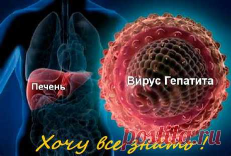 Что такое гепатит B