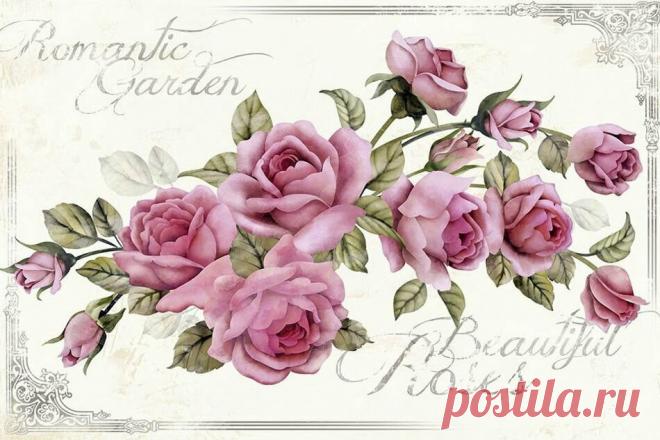 «s1200 (950×633)» — карточка пользователя Татьяна С. в Яндекс.Коллекциях