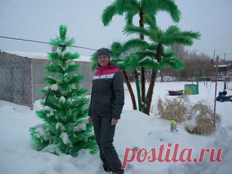 и пальма и ёлка из пластиковых бутылок...