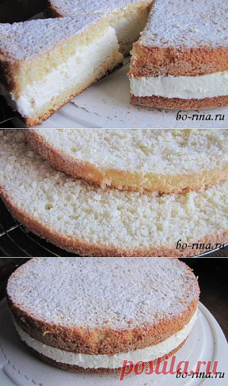 Бисквитный торт с творожно-сливочным кремом | Домохозяйки