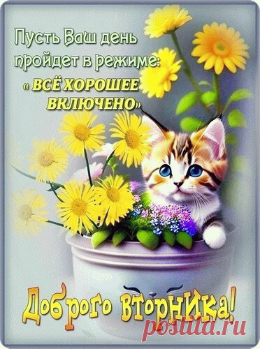 Вторник, здравствуй! Твой черед
Наступил. Давай-ка, чтоб
Был хорош ты, с нами «мил»
И тревог нам не носил!