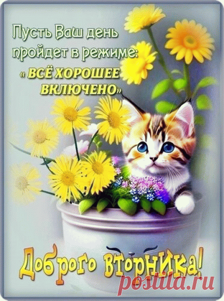 Вторник, здравствуй! Твой черед
Наступил. Давай-ка, чтоб
Был хорош ты, с нами «мил»
И тревог нам не носил!