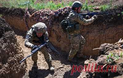 ВС РФ освободили Новоторецкое в ДНР. Этого удалось достичь благодаря подразделениям группировки войск "Центр" и их действиям, подчеркнули в Минобороны