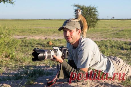 Необычная дружба между фотографом и сурикатами (25 фото)