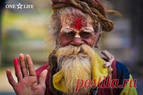 (2) ONE LIFE