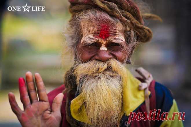 (2) ONE LIFE
