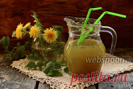 Лимонад из одуванчиков рецепт с фото, как приготовить на Webspoon.ru