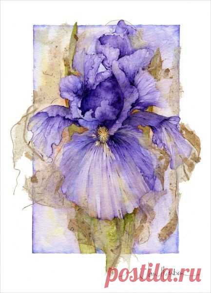 Jan Harbon. Purple Iris watercolor | FLORES ( ILUSTRACIONES ) | Pint…
