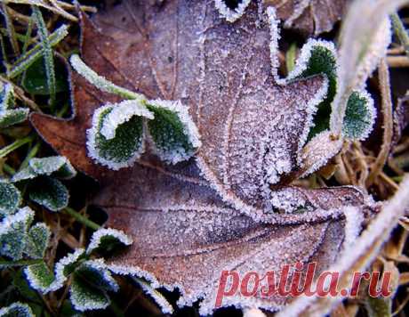Фотографии природы