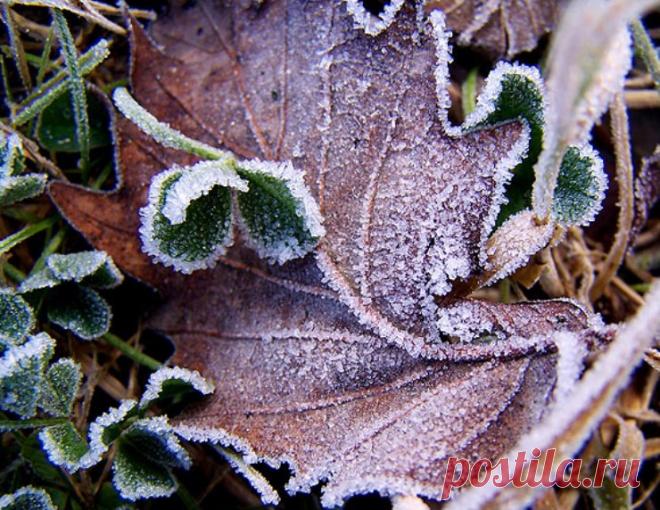 Фотографии природы