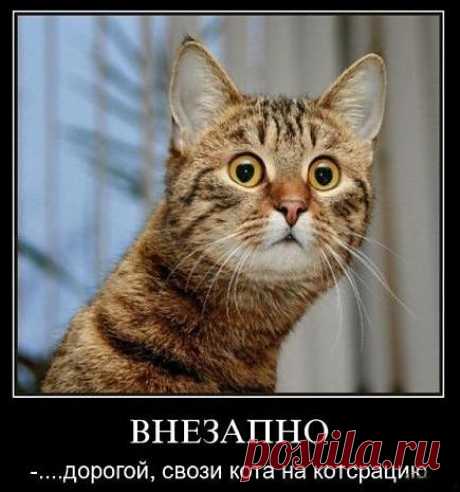 Внезапные новости