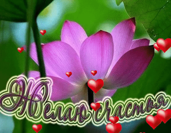 3am46c95ob9m91cs3chefsh8300h9bdl.gif (578×448)