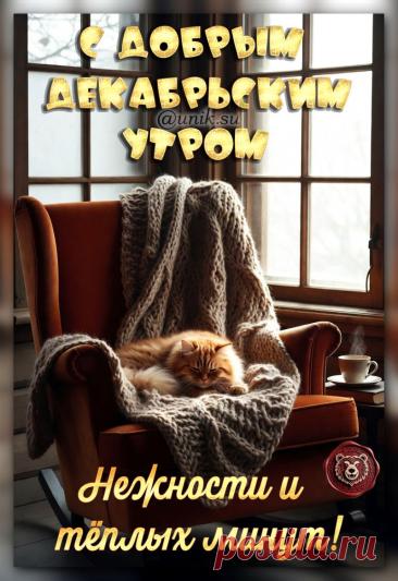 доброе декабрьское утро картинки очень красивые