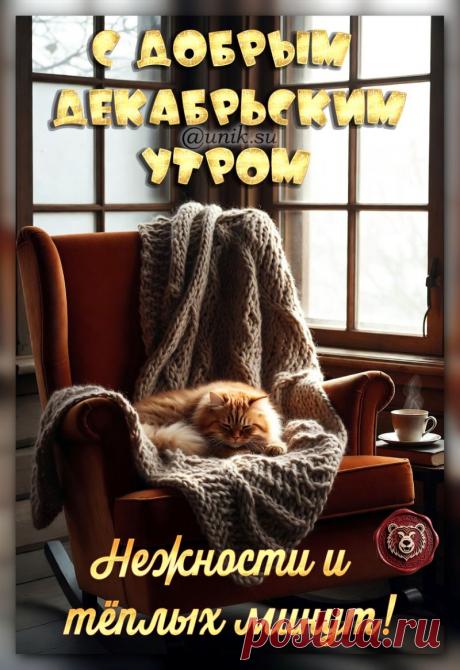 доброе декабрьское утро картинки очень красивые