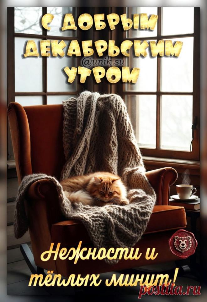 доброе декабрьское утро картинки очень красивые