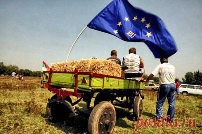 Пол-Крейг Робъртс: Единствената надежда за България-да напусне ЕС | The Bulgarian Times