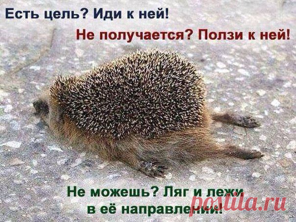 Анна Загрядская