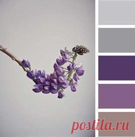 Строим свой дом
