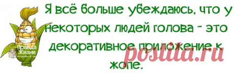 Прикольные фразочки в картинках
