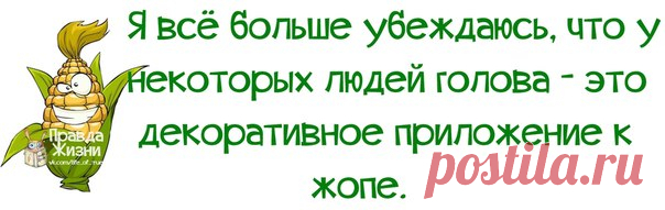 Прикольные фразочки в картинках