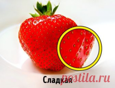 Как выбрать клубнику: 5 секретов правильного выбора - Типичный Кулинар