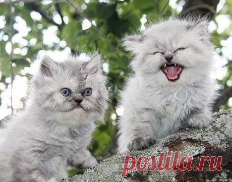 ФОТО | Удачные кадры