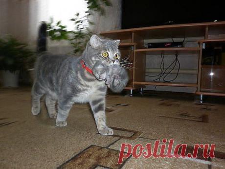 ВСЁ СВОЁ НОШУ С СОБОЙ!:-)) ШИКАРНЫЙ КАДР!!!!!