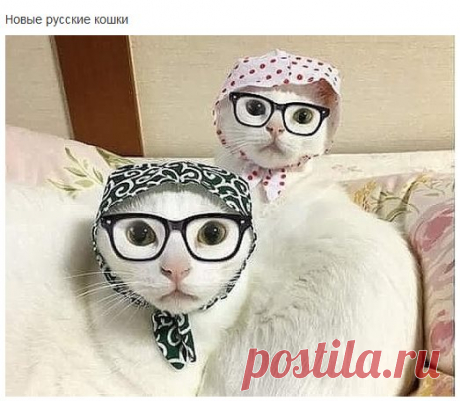 Улыбаемся,друзья..