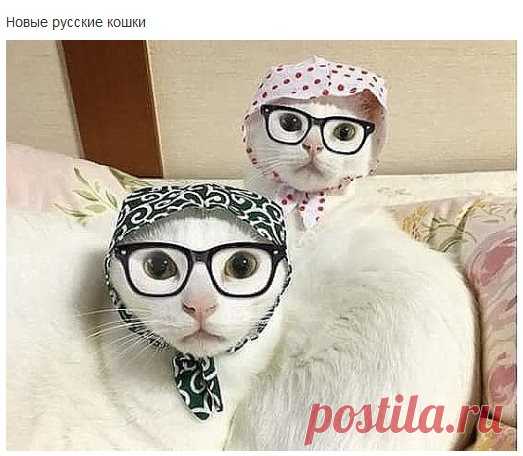 Улыбаемся,друзья..