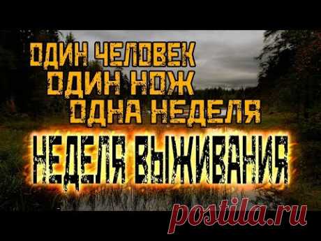 Неделя выживания. Без еды, воды и снаряжения.