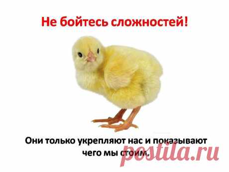 МАРАФОН С 19  ПО 27 АПРЕЛЯ!
ЧТО ВЫ УЗНАЕТЕ ЗА 8 ДНЕЙ МАРАФОНА.
КАК СОЗДАТЬ БИЗНЕС БЕЗ КАКИХ -ЛИБО ЗАТРАТ? ГДЕ НАЙТИ НИШУ                    ДЛЯ БИЗНЕСА? СПОСОБЫ РЕКЛАМЫ ВАШЕГО БИЗНЕСА. ПРИМЕРЫ БИЗНЕСА, КОТОРЫЕ УЖЕ РАБОТАЮТ И ПРИНОСЯТ ДЕНЬГИ