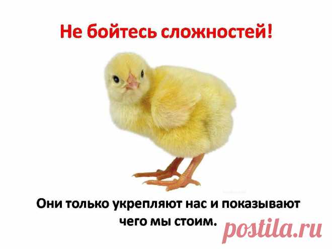 МАРАФОН С 19  ПО 27 АПРЕЛЯ!
ЧТО ВЫ УЗНАЕТЕ ЗА 8 ДНЕЙ МАРАФОНА.
КАК СОЗДАТЬ БИЗНЕС БЕЗ КАКИХ -ЛИБО ЗАТРАТ? ГДЕ НАЙТИ НИШУ                    ДЛЯ БИЗНЕСА? СПОСОБЫ РЕКЛАМЫ ВАШЕГО БИЗНЕСА. ПРИМЕРЫ БИЗНЕСА, КОТОРЫЕ УЖЕ РАБОТАЮТ И ПРИНОСЯТ ДЕНЬГИ