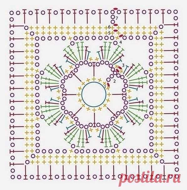 (6) Facebook