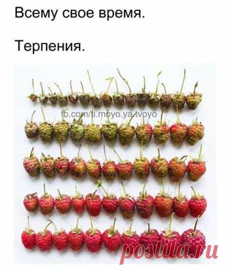 Остров Чудес - Главная