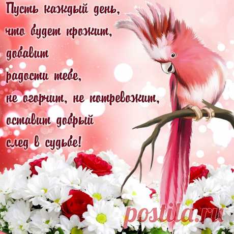 Улыбнись! Прямо сейчас улыбнись именно так, как можешь только ты!