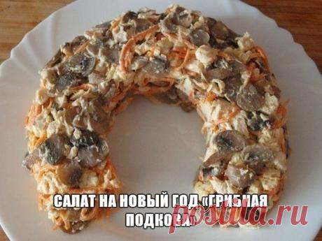САЛАТ НА НОВЫЙ ГОД «ГРИБНАЯ ПОДКОВА»!. Салат в форме подковы окажется как нельзя кстати на праздничном столе.

Ингредиенты 
- шампиньоны (400 г) 
- морковь (200 г) 
- яйца (4 шт.) 
- твердый сыр (100 г) 
- майонез (100 г) 
- свекла (100 г) 
- приправы