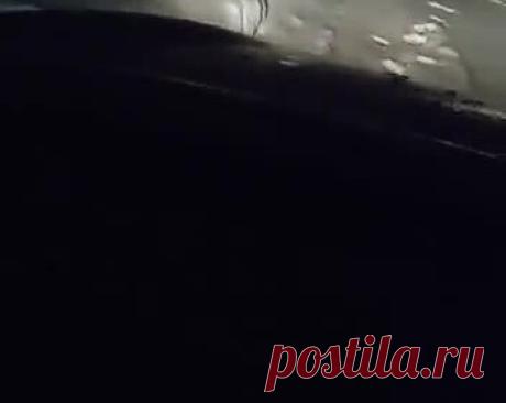 Шедшего по дороге тигренка заметили и сняли на видео в Подмосковье. В подмосковной деревне Ермолино водители заметили краснокнижного тигренка, шедшего по заснеженной дороге. Уточняется, что заплутавшему зверю необходима помощь. Его сейчас разыскивают инспекторы охотнадзора совместно с полицейскими. Местным жителям рекомендовали звонить на номер «112» при виде тигренка.
