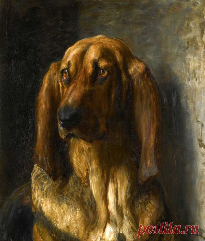 Самый преданный друг... | Briton Riviere