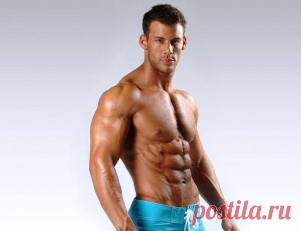 Красивая мужская фигура. Каноны