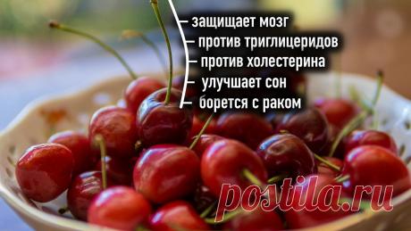 Как вишня спасает тело и освежает мозг: 6 веских причин со слов ученых есть сочную красную ягоду