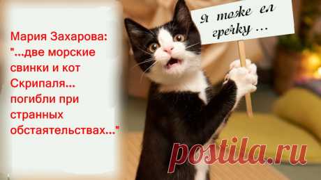 ОН СЛИШКОМ  МНОГО ЗНАЛ...