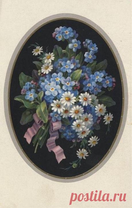 Очаровательные незабудки