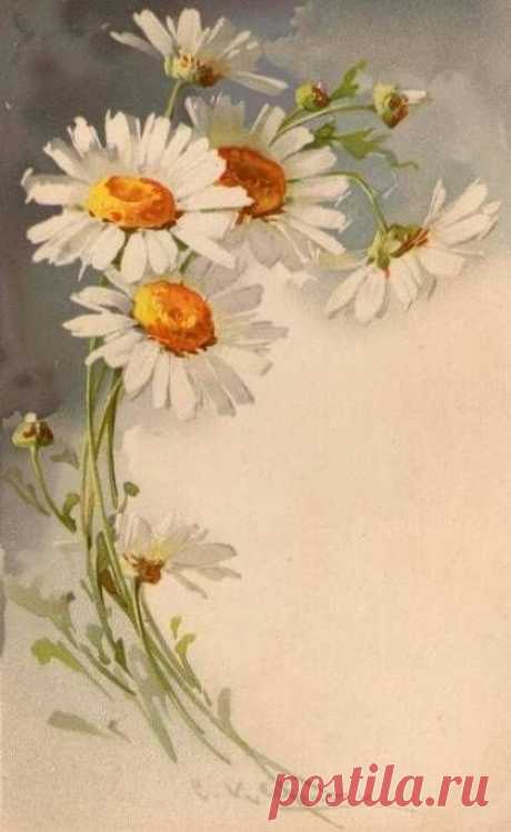 (723) Catherine Klein | PINTAR FLORES