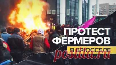 Фермеры в Брюсселе прорвали полицейскую блокаду на тракторах — видео. В Брюсселе фермеры на тракторах прорвались через полицейские ограждения на территорию Европейского квартала. Протестующие планировали направиться к штаб-квартирам ЕС и НАТО. Фермеры забрасывали силовиков навозом, чтобы заставить их отступить. Сотрудники полиции вызвали подкрепление и начали применять водомёты. Всего в акции протеста участвовали около 900 фермеров. Читать далее