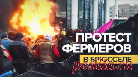 Фермеры в Брюсселе прорвали полицейскую блокаду на тракторах — видео. В Брюсселе фермеры на тракторах прорвались через полицейские ограждения на территорию Европейского квартала. Протестующие планировали направиться к штаб-квартирам ЕС и НАТО. Фермеры забрасывали силовиков навозом, чтобы заставить их отступить. Сотрудники полиции вызвали подкрепление и начали применять водомёты. Всего в акции протеста участвовали около 900 фермеров. Читать далее